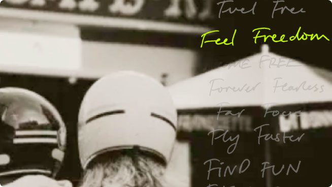 Flying Flea Banner